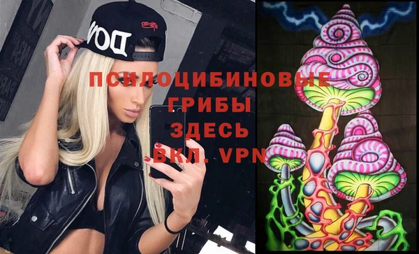 ECSTASY Волосово