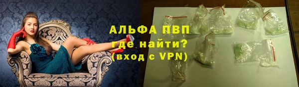 молекула духа Вяземский