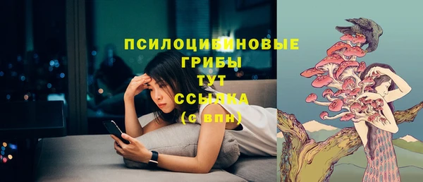 ECSTASY Волосово